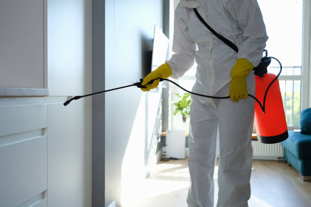 Best Mold Damage Restoration  in Utica, OH