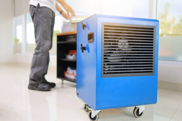 Utica, OH Mold Removal Company