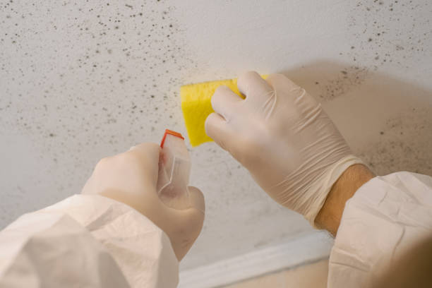 Best Mold Prevention Services  in Utica, OH