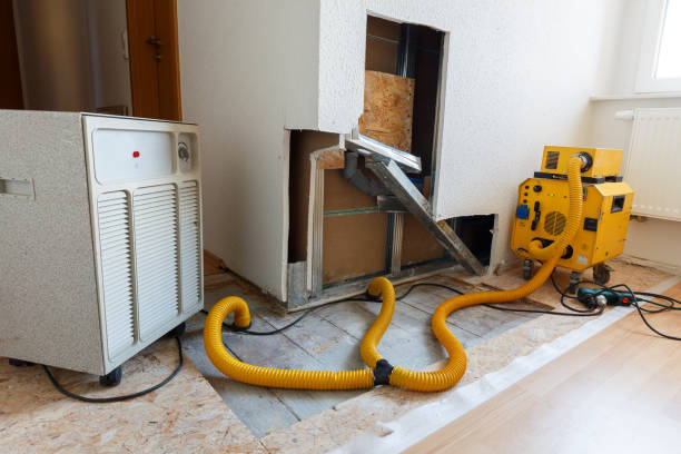Best Water Damage & Mold Remediation  in Utica, OH